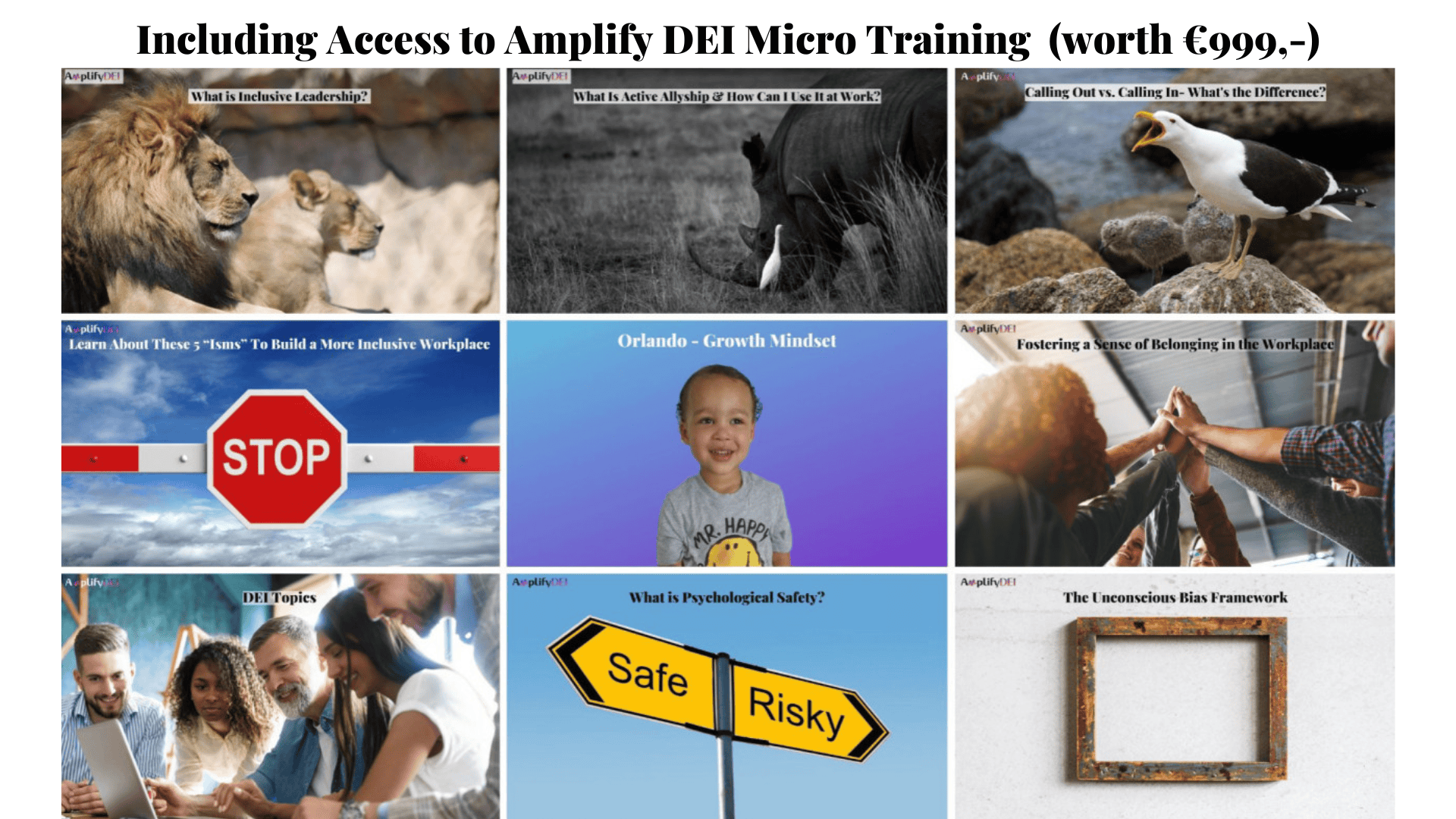 Amplify DEI Cards Academy